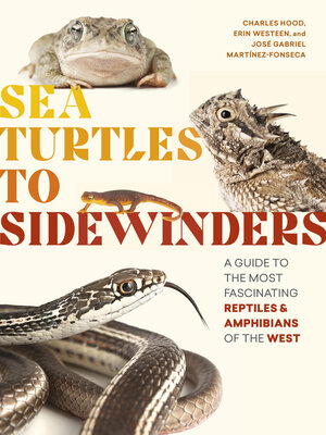 cover image of Sea Turtles to Sidewinders